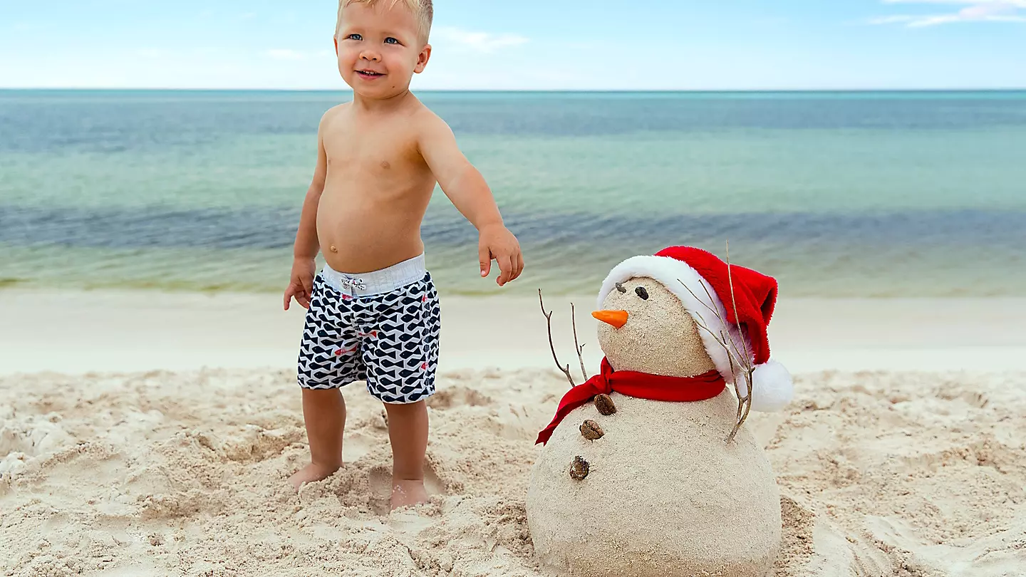 Pharaohs Cruise tropical beach with white sand, swaying palm trees, and clear blue water paradise