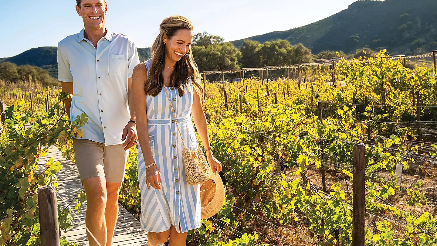 Luxurious adult only cruises offering exclusive relaxation, sophisticated dining, premium spa services, and vibrant nightlife for travelers 18 and older